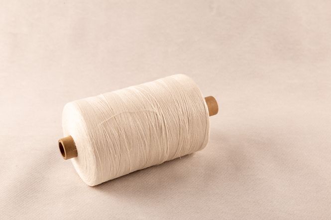 Main Image 20/1 LIN HALVBLEKET