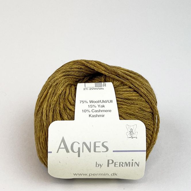 Hovedbilde Agnes Karri