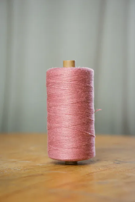 Hovedbilde 6/1 LINTOW F. 1309 Rosa