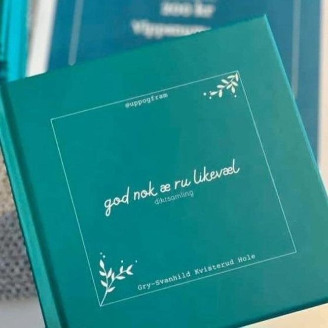 Hovedbilde Go nok æ ru likevæl